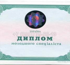 Диплом Техникума Украины 2009г в Рязани